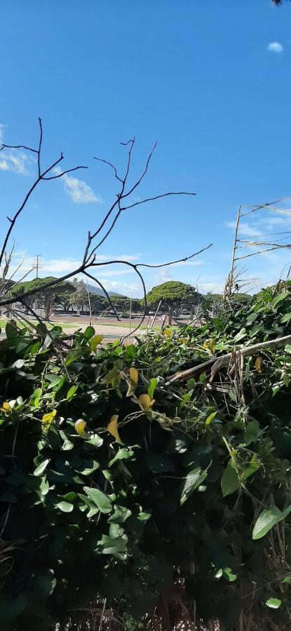 Les Iles D'Or Au Port De Hyeres Grand Studio Climatise Exteriér fotografie