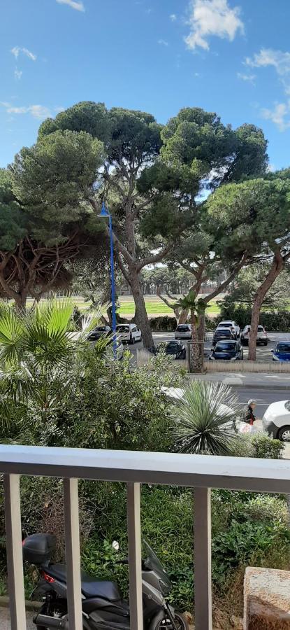 Les Iles D'Or Au Port De Hyeres Grand Studio Climatise Exteriér fotografie